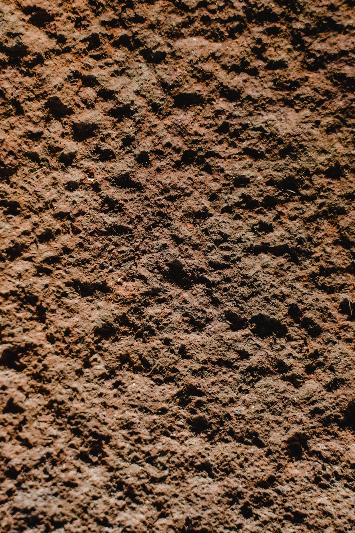 A close-up of bare garden soil, fine reddish brown particles packed together with dark crumbs between them and no bark, perlite, or coarse material of any kind visible